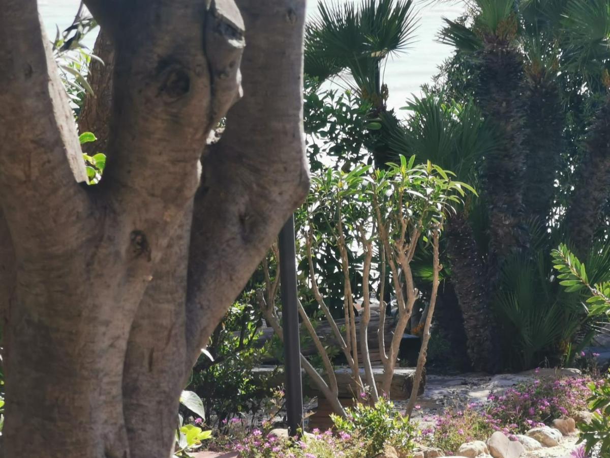 Giardino Sul Mare Διαμέρισμα Realmonte Εξωτερικό φωτογραφία